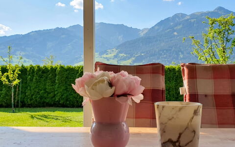 Reiter: Vaso Di Fiori, Rosa, Catena Montuosa, Sedia, Pianta Della Casa, Giardino, Tagliare I Fiori, Vaso, Shade