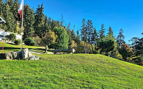 Crans-Montana 480: Erba, Verde, Pascolo, Paesaggio, Lotto, Prato, Prato, Pascolo, Larice