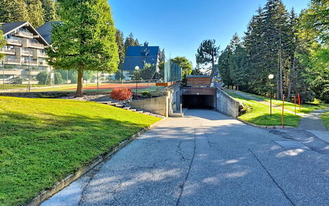 Crans-Montana 480: Albero, Shade, Larice, Landscaping, Passerella, Sempreverde, Driveway, Pine Famiglia