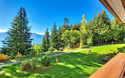 Crans-Montana 480: Albero, Paesaggio, Collina, Hill Station, Catena Montuosa, Larice, Foresta, Valle, Pendenza, Cresta