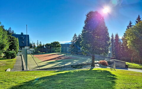 Crans-Montana 480: Blu, Cielo, Albero, Larice, Pendenza, Prato, Landscaping, Sempreverde, Parco