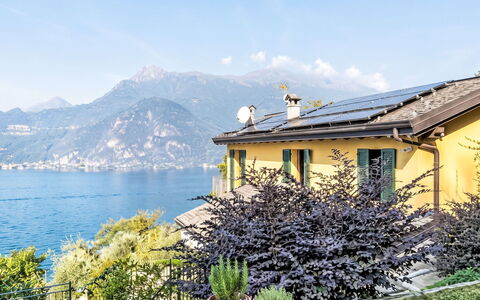 Glicine: Pavimentazione, Camera Da Letto, Bedding, Letto, Telaio Del Letto, Biancheria, Lenzuolo, Latifoglie, Materasso, Pavimento In Legno