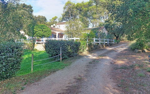Moun Pantai: Albero, Arbusto, Estate, Villetta, Suolo, Sobborgo, Shade, Trail, Hacienda, Driveway