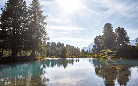 Augl'S Hof: Blu, Acqua, Corpo D'Acqua, Risorse Idriche, Albero, Verde, Natura, Paesaggio Naturale, Riflessione, Natura Selvaggia