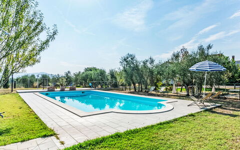 Podere degli Ulivi: Piscina, Mobili Da Esterno, Giardino, Mobilia, Ricorrere, Shade, Eco Hotel, Backyard, Tempo Libero, Sedia