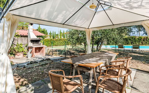 Podere degli Ulivi: Piscina, Mobili Da Esterno, Giardino, Mobilia, Ricorrere, Shade, Eco Hotel, Backyard, Tempo Libero, Sedia