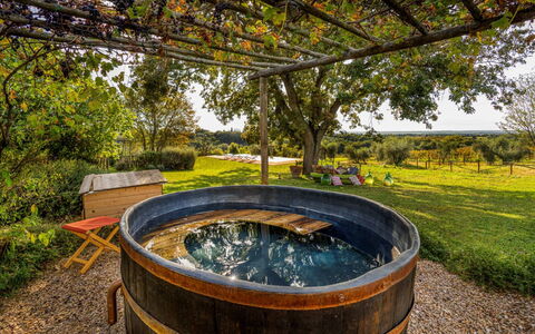 Villa Mare, Bolgheri: Giardino, Piscina, Landscaping, Cortile, Backyard, Canna, Vasca Da Bagno, Giochi D'Acqua, Eco Hotel