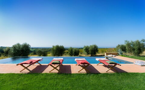 Villa Mare, Bolgheri: Blu, Mobilia, Piscina, Mobili Da Esterno, Lettino, Landscaping, Ricorrere, Eco Hotel, Sedia A Sdraio