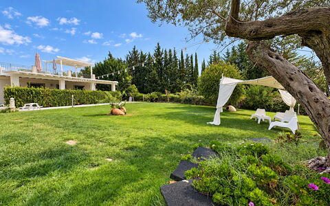 Casa Spassu: Erba, Albero, Verde, Arbusto, Giardino, Paesaggio, Lotto, Prato, Groundcover