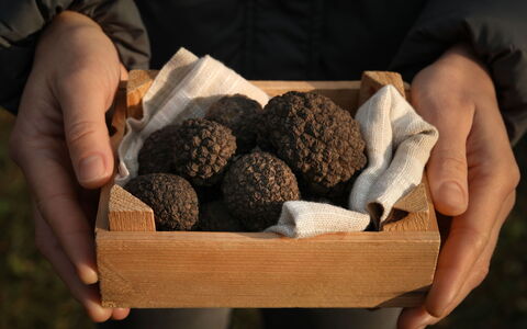Pod Meloni: Ingrediente, Cibo, Dolce, Superfood