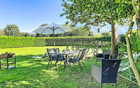 Carla: Erba, Verde, Arbusto, Mobilia, Giardino, Lotto, Prato, Mobili Da Esterno, Groundcover, Shade