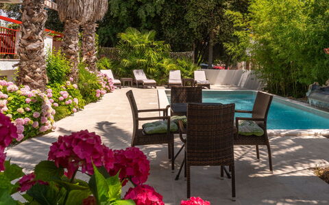 Botanica: Appartamento, Ricorrere, Piscina, Condominio, Balcone, Hotel, Eco Hotel, Villa, Pianta Della Casa