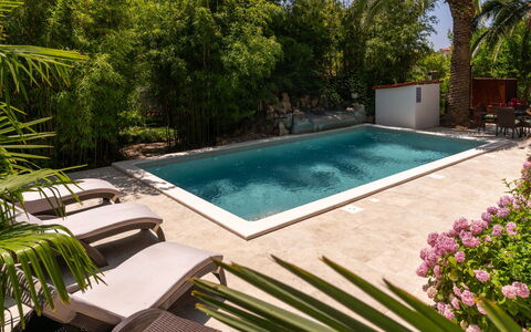Botanica: Appartamento, Ricorrere, Piscina, Condominio, Balcone, Hotel, Eco Hotel, Villa, Pianta Della Casa