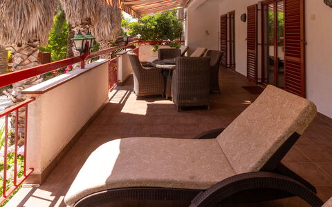 Botanica: Appartamento, Ricorrere, Piscina, Condominio, Balcone, Hotel, Eco Hotel, Villa, Pianta Della Casa