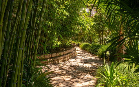 Botanica: Appartamento, Ricorrere, Piscina, Condominio, Balcone, Hotel, Eco Hotel, Villa, Pianta Della Casa