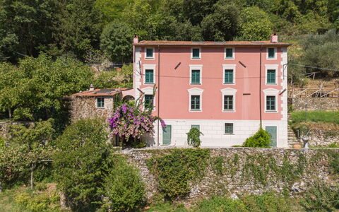 Casa Il Noce: Appartamento, Ricorrere, Piscina, Condominio, Balcone, Hotel, Eco Hotel, Villa, Pianta Della Casa