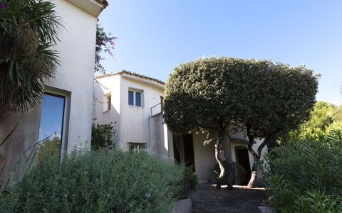 Cala Rossa: Parete, Zona Residenziale, Arbusto, Casa, Architettura, Casa, Tetto, Estate, Giardino, Hacienda