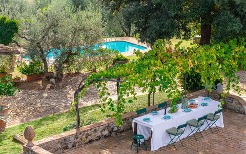 Podere Selva, Pool, Chianti: Arbusto, Giardino, Piscina, Shade, Backyard, Mobili Da Esterno, Landscaping, Cortile, Ricorrere, Vaso Di Fiori