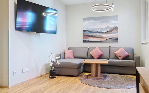 Radstadt 26: Mobilia, Interior Design, Pavimento, Pavimentazione, Divano, Parete, Soggiorno, Camera, Legna, Soffitto