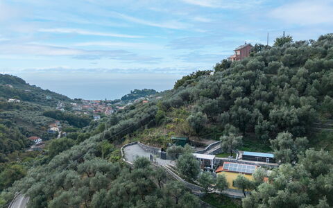 Green Haven: Brick, Estate, Giardino, Sobborgo, Driveway, Landscaping, Cortile, Hacienda, Agriturismo, Backyard