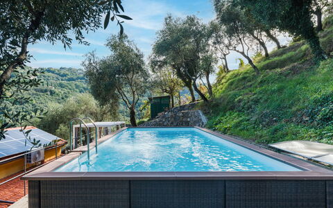 Green Haven: Brick, Estate, Giardino, Sobborgo, Driveway, Landscaping, Cortile, Hacienda, Agriturismo, Backyard