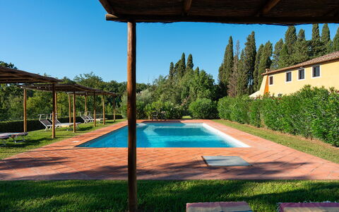 Villa Poggio Bellavista 8: Piscina, Shade, Hacienda, Giardino, Eco Hotel, Estate, Agriturismo, Landscaping, Backyard, Ricorrere