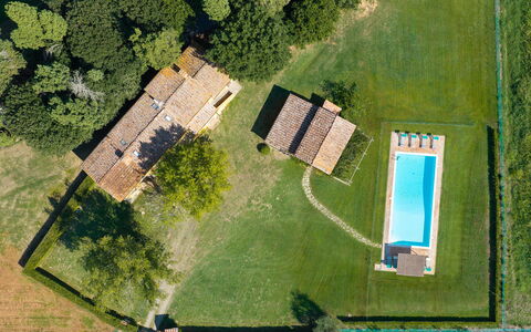 Villa del Poggio D'Oro 8: Piscina, Casa, Lotto, Casa, Prato, Estate, Agriturismo, Villetta, Prato, Backyard
