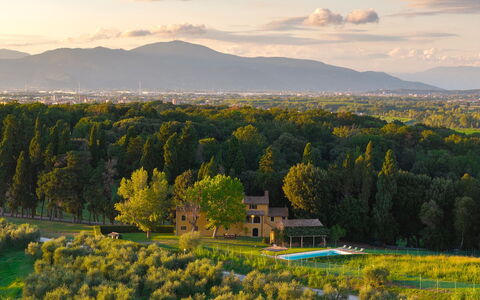 Villa del Poggio D'Oro 8: Albero, Paesaggio, Lotto, Area Rurale, Plain, Casa, Estate, Prato, Agriturismo, Piantagione