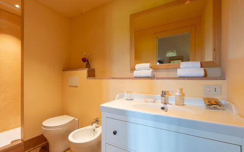 Villa del Poggio D'Oro 8: Bagno, Idraulico Fixture, Lavandino Del Bagno, Pavimentazione, Parete, Interior Design, Pavimento, Lavello, Legna, Rubinetto