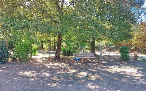 Tartoure: Foglia, Albero, Ramo, Arbusto, Shade, Tronco, Woody Impianto, Suolo, Woodland, Giardino