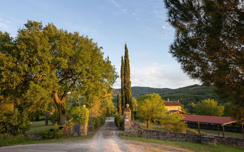 Tuscan Hamlet Relais Piettorri: Foglia, Albero, Ramo, Tronco, Luce Del Sole, Ramoscello, Shade, Landscaping, Driveway, Ombra