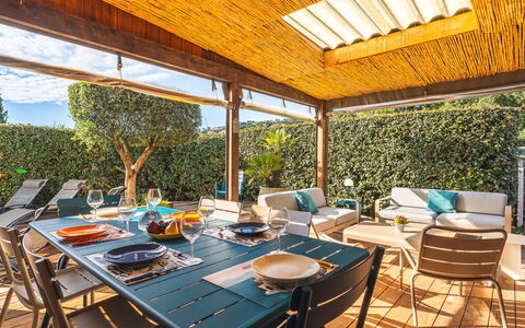Les Magnifiques: Albero, Neve, Inverno, Foresta, Congelamento, Larice, Sempreverde, Woodland