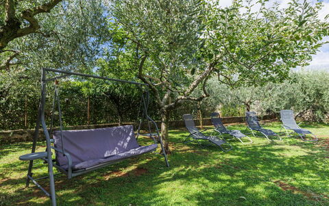 Paola: Albero, Neve, Inverno, Foresta, Congelamento, Larice, Sempreverde, Woodland
