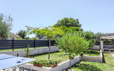 Campanella: Albero, Neve, Inverno, Foresta, Congelamento, Larice, Sempreverde, Woodland
