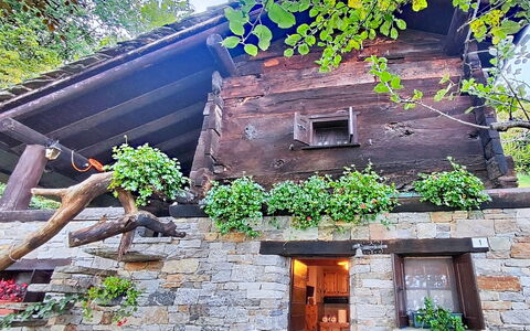 Chalet degli Gnomi: Albero, Neve, Inverno, Foresta, Congelamento, Larice, Sempreverde, Woodland