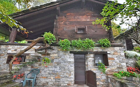 Chalet degli Gnomi: Albero, Neve, Inverno, Foresta, Congelamento, Larice, Sempreverde, Woodland