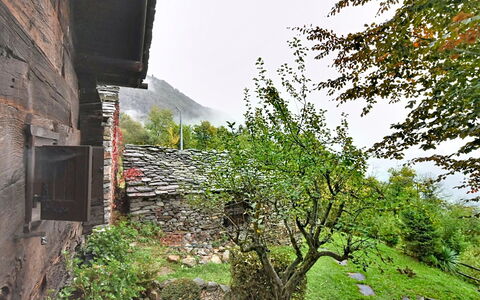 Chalet degli Gnomi: Albero, Neve, Inverno, Foresta, Congelamento, Larice, Sempreverde, Woodland