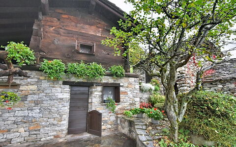 Chalet degli Gnomi: Albero, Neve, Inverno, Foresta, Congelamento, Larice, Sempreverde, Woodland