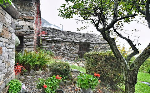 Chalet degli Gnomi: Albero, Neve, Inverno, Foresta, Congelamento, Larice, Sempreverde, Woodland