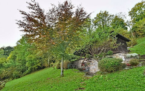 Chalet degli Gnomi: Albero, Neve, Inverno, Foresta, Congelamento, Larice, Sempreverde, Woodland