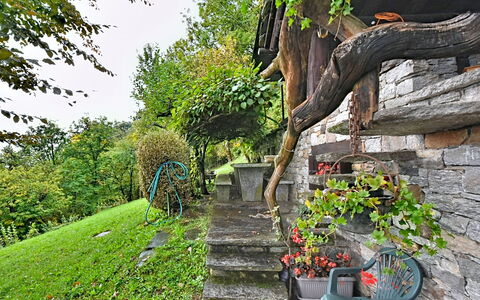Chalet degli Gnomi: Albero, Neve, Inverno, Foresta, Congelamento, Larice, Sempreverde, Woodland