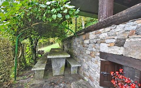 Chalet degli Gnomi: Albero, Neve, Inverno, Foresta, Congelamento, Larice, Sempreverde, Woodland
