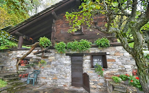 Chalet degli Gnomi: Albero, Neve, Inverno, Foresta, Congelamento, Larice, Sempreverde, Woodland