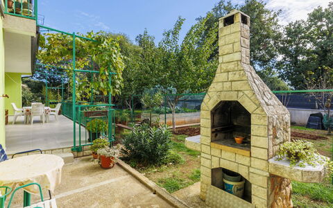 Mario: Giardino, Backyard, Landscaping, Shade, Cortile, Eco Hotel, Hacienda, Cortile