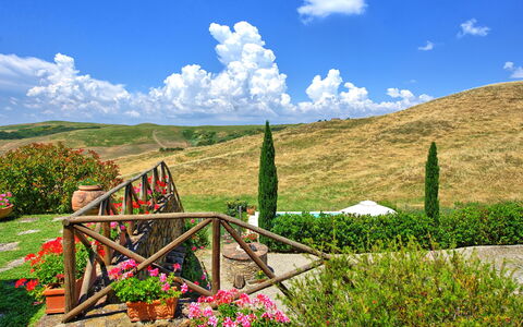 Castelmuzio: Natura, Paesaggio Naturale, Vegetazione, Cielo, Nube, Montagna, Pascolo, Ambiente Naturale, Natura Selvaggia, Erba