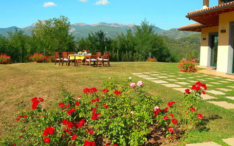 Villa Saida: Paesaggio Naturale, Giardino, Fiore, Proprietà, Giardino Botanico, Cortile, Pianta, Botanica, Primavera, Natura Selvaggia