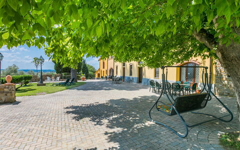 Vinci 815: Pianta, Shade, Manto Stradale, Mobili Da Esterno, Urban Design, Albero, Legna, Woody Impianto, Tempo Libero, Erba