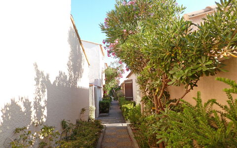 Les Leucatines 3: Albero, Proprietà, Vegetazione, Immobiliare, Casa, Quartiere, Pianta, Architettura, Botanica, Woody Impianto