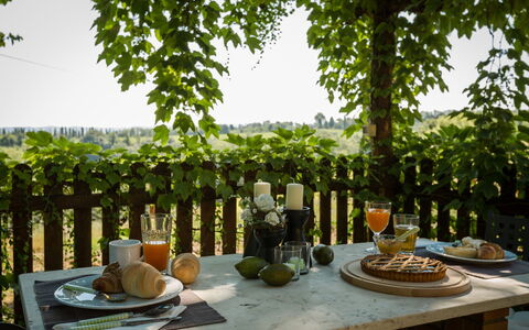 Montelopio: Tavolo, Albero, Pianta, Brunch, Interior Design, Pianta Della Casa, Prima Colazione, Mobilia, Biancheria, Cibo Da Mangiare Con Le Mani