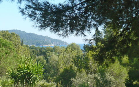 Mas Baladou: Vegetazione, Natura, Albero, Riserva Naturale, Natura Selvaggia, Ambiente Naturale, Geografia Montane, Biome, Cielo, Montagna